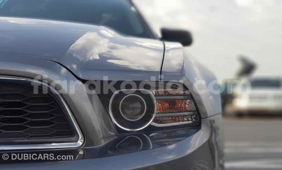 Hividy Ford Mustang Hafa Car in Import - Dubai in Diana Hividy Ford Mustang Hafa Car in Import - Dubai in Diana