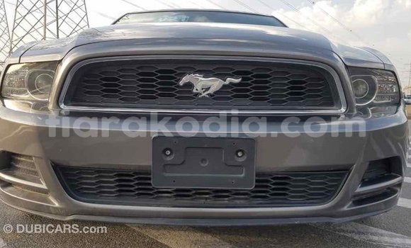Hividy Ford Mustang Hafa Car in Import - Dubai in Diana Hividy Ford Mustang Hafa Car in Import - Dubai in Diana