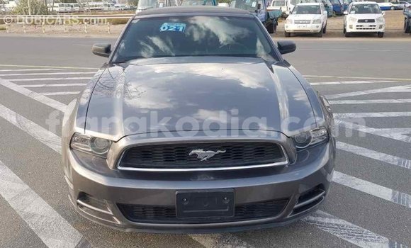 Hividy Ford Mustang Hafa Car in Import - Dubai in Diana Hividy Ford Mustang Hafa Car in Import - Dubai in Diana