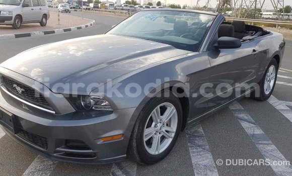 Hividy Ford Mustang Hafa Car in Import - Dubai in Diana Hividy Ford Mustang Hafa Car in Import - Dubai in Diana