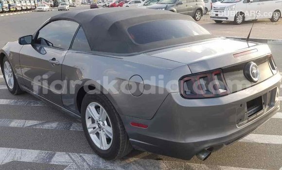 Hividy Ford Mustang Hafa Car in Import - Dubai in Diana Hividy Ford Mustang Hafa Car in Import - Dubai in Diana