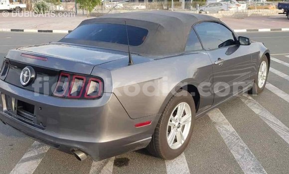 Hividy Ford Mustang Hafa Car in Import - Dubai in Diana Hividy Ford Mustang Hafa Car in Import - Dubai in Diana