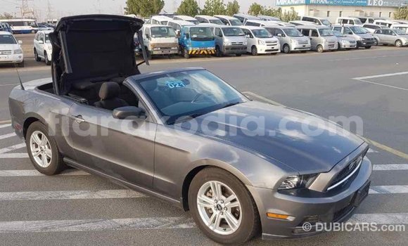 Hividy Ford Mustang Hafa Car in Import - Dubai in Diana Hividy Ford Mustang Hafa Car in Import - Dubai in Diana
