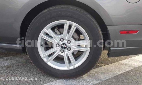 Hividy Ford Mustang Hafa Car in Import - Dubai in Diana Hividy Ford Mustang Hafa Car in Import - Dubai in Diana