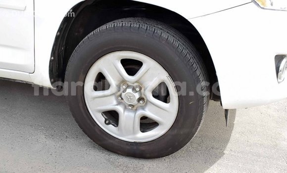 Acheter Import Utilitaire Toyota HiAce Blanc à Import - Dubai, Diana