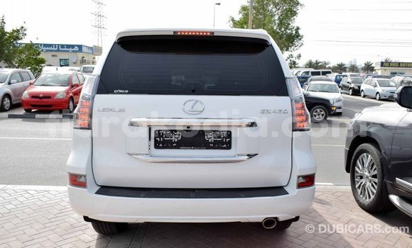Acheter Import Voiture Lexus GX Blanc à Import - Dubai, Diana Acheter Import Voiture Lexus GX Blanc à Import - Dubai, Diana