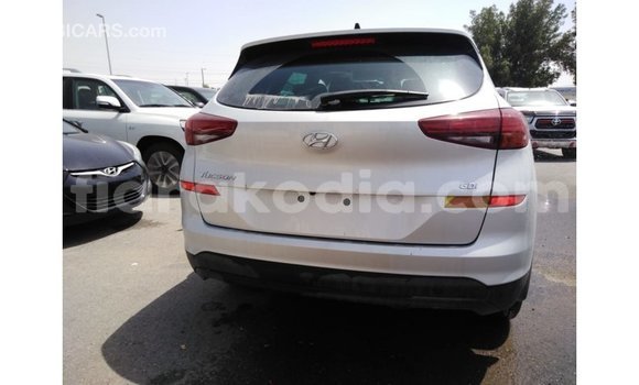 Hividy Hyundai Tucson Hafa Car in Import - Dubai in Diana Hividy Hyundai Tucson Hafa Car in Import - Dubai in Diana