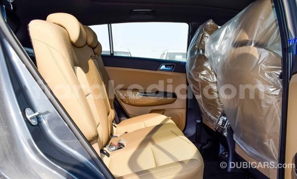 Hividy Kia Sportage Hafa Car in Import - Dubai in Diana Hividy Kia Sportage Hafa Car in Import - Dubai in Diana