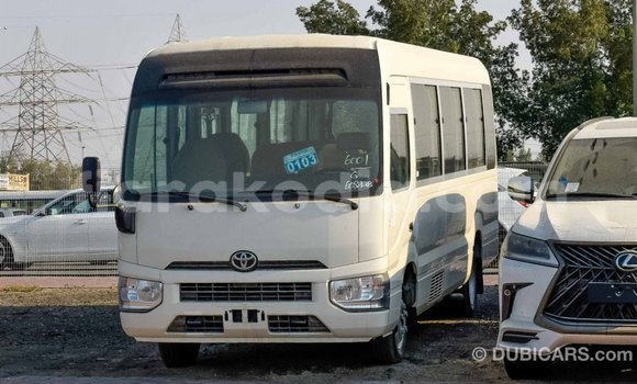 Hividy Toyota Coaster fotsy Car in Import - Dubai in Diana Hividy Toyota Coaster fotsy Car in Import - Dubai in Diana