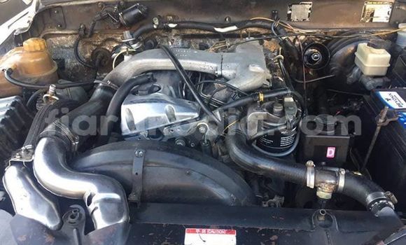 Hividy Daewoo Musso fotsy Car in Antananarivo in Analamanga Hividy Daewoo Musso fotsy Car in Antananarivo in Analamanga