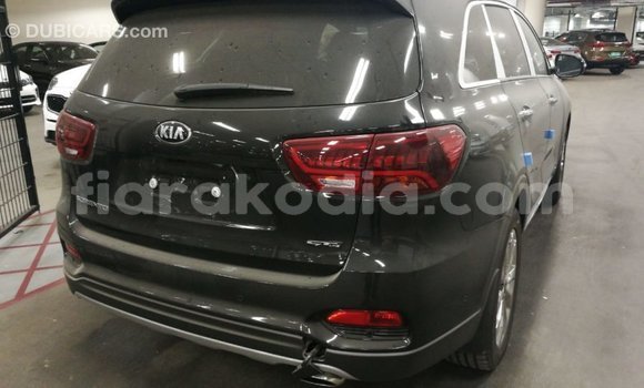 Hividy Kia Sorento Brown Car in Import - Dubai in Diana Hividy Kia Sorento Brown Car in Import - Dubai in Diana