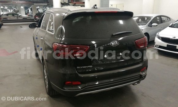 Hividy Kia Sorento Brown Car in Import - Dubai in Diana Hividy Kia Sorento Brown Car in Import - Dubai in Diana
