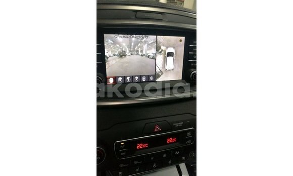 Hividy Kia Sorento Brown Car in Import - Dubai in Diana Hividy Kia Sorento Brown Car in Import - Dubai in Diana