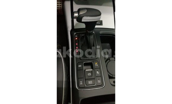 Hividy Kia Sorento Brown Car in Import - Dubai in Diana Hividy Kia Sorento Brown Car in Import - Dubai in Diana