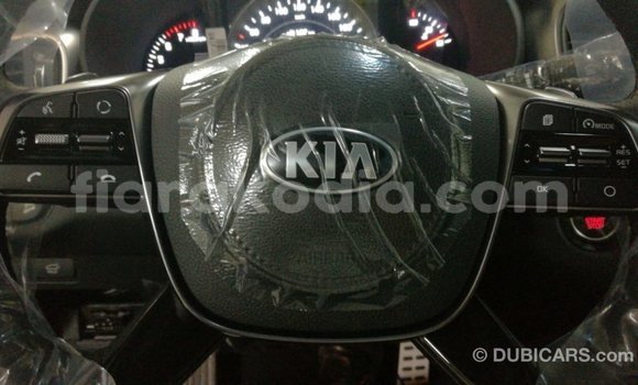 Hividy Kia Sorento Brown Car in Import - Dubai in Diana Hividy Kia Sorento Brown Car in Import - Dubai in Diana