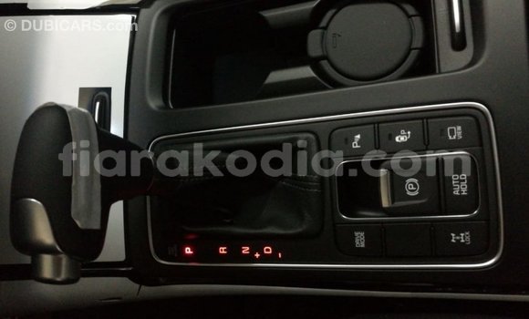 Hividy Kia Sorento Brown Car in Import - Dubai in Diana Hividy Kia Sorento Brown Car in Import - Dubai in Diana