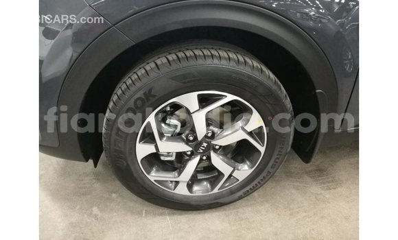 Hividy Kia Sportage Hafa Car in Import - Dubai in Diana Hividy Kia Sportage Hafa Car in Import - Dubai in Diana