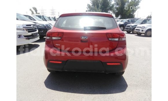 Hividy Kia Rio Red Car in Import - Dubai in Diana Hividy Kia Rio Red Car in Import - Dubai in Diana