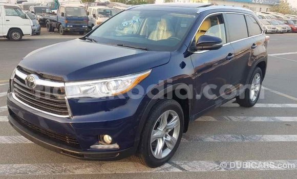 Hividy Toyota Highlander Blue Car in Import - Dubai in Diana Hividy Toyota Highlander Blue Car in Import - Dubai in Diana
