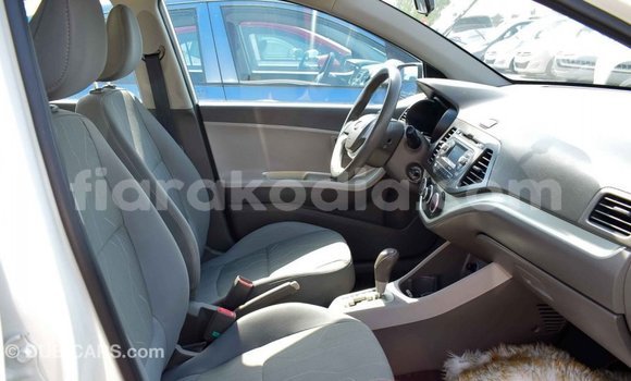 Hividy Kia Picanto fotsy Car in Import - Dubai in Diana Hividy Kia Picanto fotsy Car in Import - Dubai in Diana
