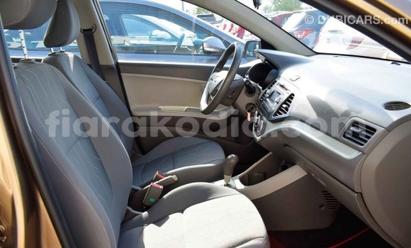 Hividy Kia Picanto Brown Car in Import - Dubai in Diana Hividy Kia Picanto Brown Car in Import - Dubai in Diana