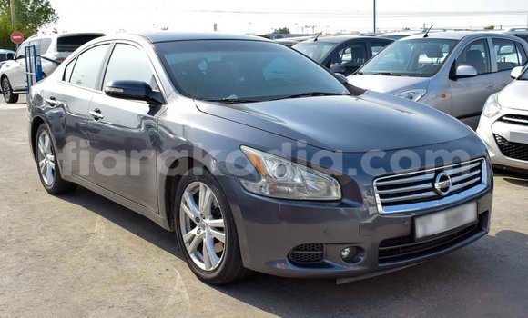 Hividy Nissan Maxima Hafa Car in Import - Dubai in Diana Hividy Nissan Maxima Hafa Car in Import - Dubai in Diana
