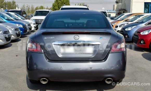 Hividy Nissan Maxima Hafa Car in Import - Dubai in Diana Hividy Nissan Maxima Hafa Car in Import - Dubai in Diana