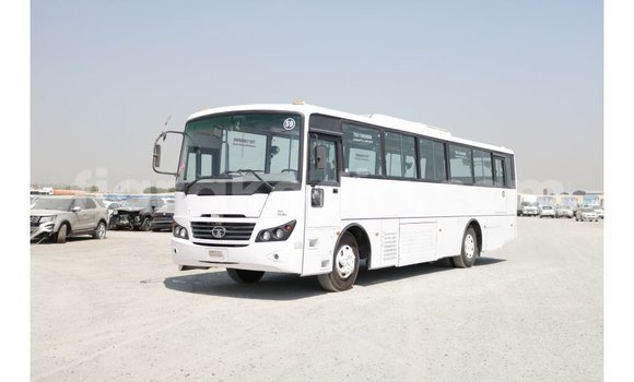 Acheter Import Voiture Tata Xenon Blanc à Import - Dubai, Diana