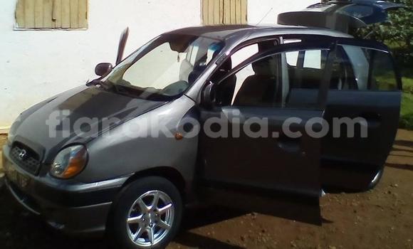 Buy Used Hyundai Atoz Other Car in Antsirabe in Vakinankaratra Buy Used Hyundai Atoz Other Car in Antsirabe in Vakinankaratra