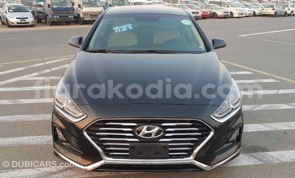 Buy Import Hyundai Sonata Black Car in Import - Dubai in Diana Buy Import Hyundai Sonata Black Car in Import - Dubai in Diana