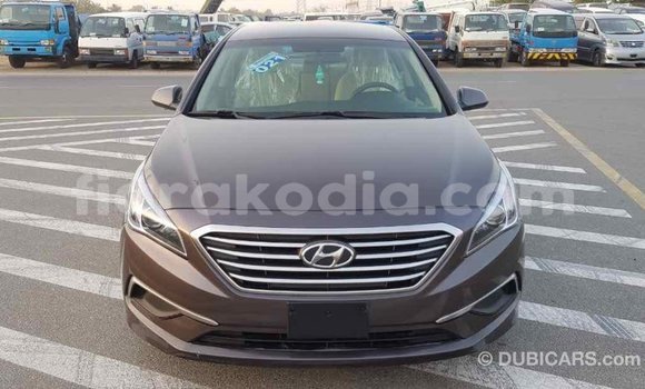 Hividy Hyundai Sonata Brown Car in Import - Dubai in Diana Hividy Hyundai Sonata Brown Car in Import - Dubai in Diana