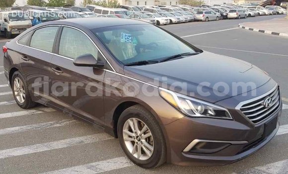 Hividy Hyundai Sonata Brown Car in Import - Dubai in Diana Hividy Hyundai Sonata Brown Car in Import - Dubai in Diana