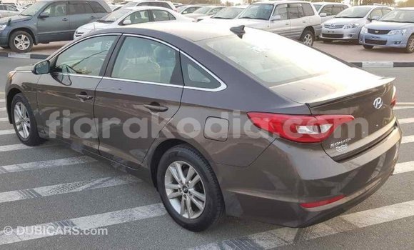 Hividy Hyundai Sonata Brown Car in Import - Dubai in Diana Hividy Hyundai Sonata Brown Car in Import - Dubai in Diana