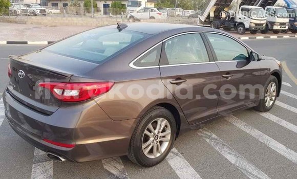 Hividy Hyundai Sonata Brown Car in Import - Dubai in Diana Hividy Hyundai Sonata Brown Car in Import - Dubai in Diana