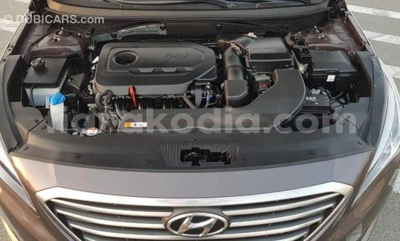 Hividy Hyundai Sonata Brown Car in Import - Dubai in Diana Hividy Hyundai Sonata Brown Car in Import - Dubai in Diana