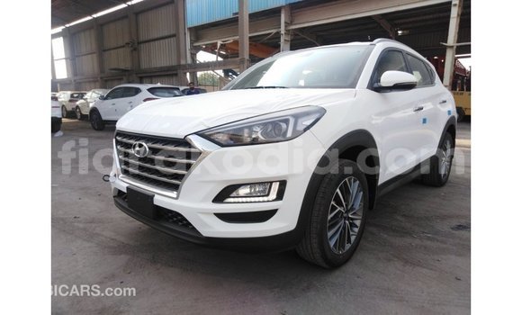 Hividy Hyundai Tucson fotsy Car in Import - Dubai in Diana Hividy Hyundai Tucson fotsy Car in Import - Dubai in Diana