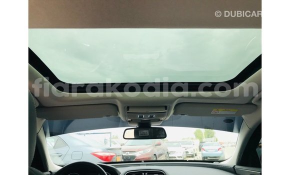 Acheter Import Voiture Jaguar XE Rouge à Import - Dubai, Diana Acheter Import Voiture Jaguar XE Rouge à Import - Dubai, Diana