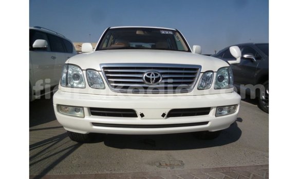Acheter Import Voiture Toyota Land Cruiser Blanc à Import - Dubai, Diana Acheter Import Voiture Toyota Land Cruiser Blanc à Import - Dubai, Diana