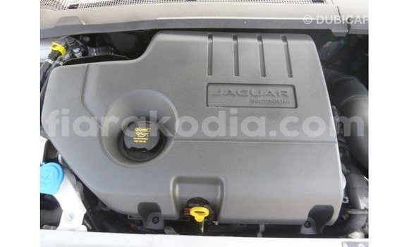 Acheter Import Voiture Jaguar E-Pace Blanc à Import - Dubai, Diana Acheter Import Voiture Jaguar E-Pace Blanc à Import - Dubai, Diana