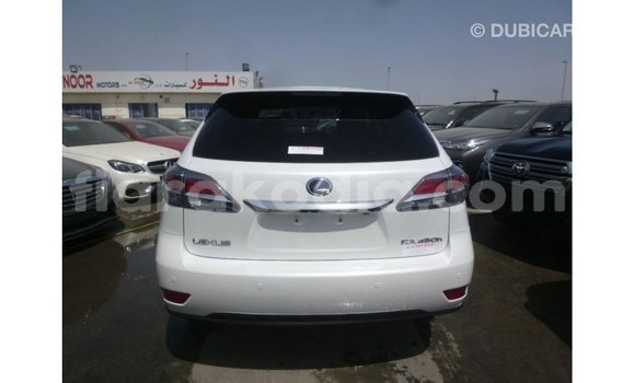 Acheter Import Voiture Lexus RX Blanc à Import - Dubai, Diana Acheter Import Voiture Lexus RX Blanc à Import - Dubai, Diana