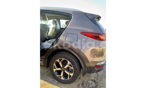 Hividy Kia Sportage Brown Car in Import - Dubai in Diana Hividy Kia Sportage Brown Car in Import - Dubai in Diana