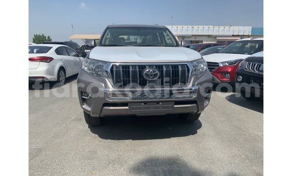 Hividy Toyota Prado Brown Car in Import - Dubai in Diana Hividy Toyota Prado Brown Car in Import - Dubai in Diana