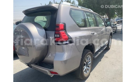 Hividy Toyota Prado Brown Car in Import - Dubai in Diana Hividy Toyota Prado Brown Car in Import - Dubai in Diana