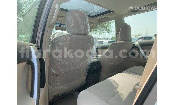 Hividy Toyota Prado Brown Car in Import - Dubai in Diana Hividy Toyota Prado Brown Car in Import - Dubai in Diana