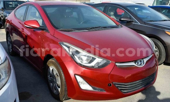 Hividy Hyundai Elantra Red Car in Import - Dubai in Diana Hividy Hyundai Elantra Red Car in Import - Dubai in Diana