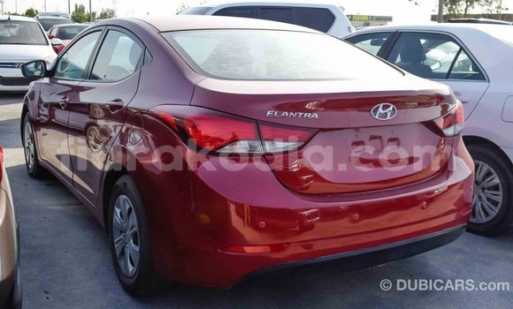 Hividy Hyundai Elantra Red Car in Import - Dubai in Diana Hividy Hyundai Elantra Red Car in Import - Dubai in Diana