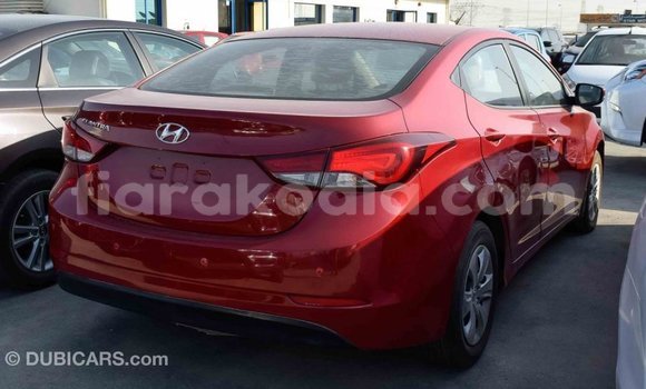 Hividy Hyundai Elantra Red Car in Import - Dubai in Diana Hividy Hyundai Elantra Red Car in Import - Dubai in Diana