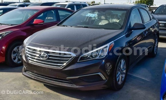 Hividy Hyundai Sonata Brown Car in Import - Dubai in Diana Hividy Hyundai Sonata Brown Car in Import - Dubai in Diana