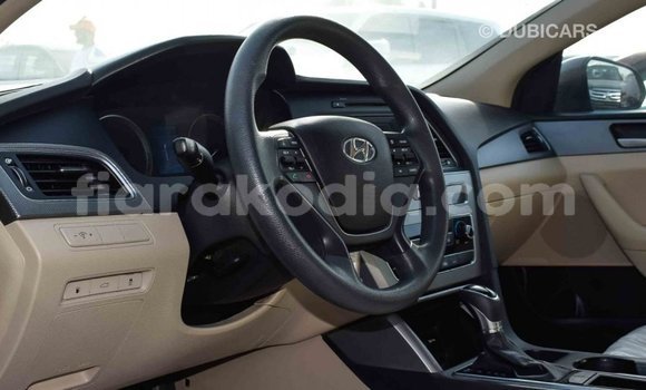 Hividy Hyundai Sonata Brown Car in Import - Dubai in Diana Hividy Hyundai Sonata Brown Car in Import - Dubai in Diana