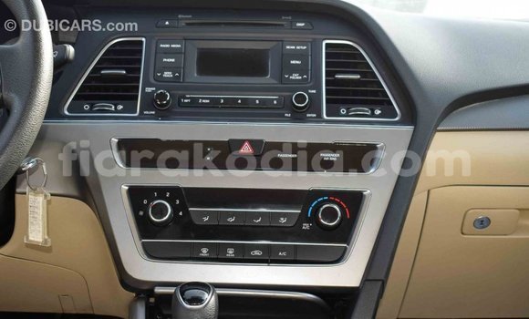 Hividy Hyundai Sonata Brown Car in Import - Dubai in Diana Hividy Hyundai Sonata Brown Car in Import - Dubai in Diana